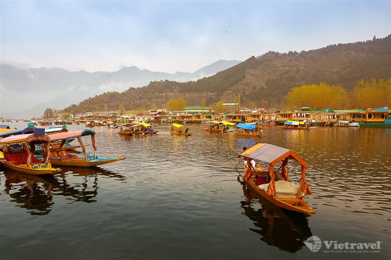 Ấn Độ: khám phá miền sơn cước Kashmir - trải nghiệm mùa thu lá vàng, mùa Saffron thu hoạch.